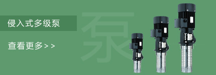 南方泵業(yè)侵入式多級泵